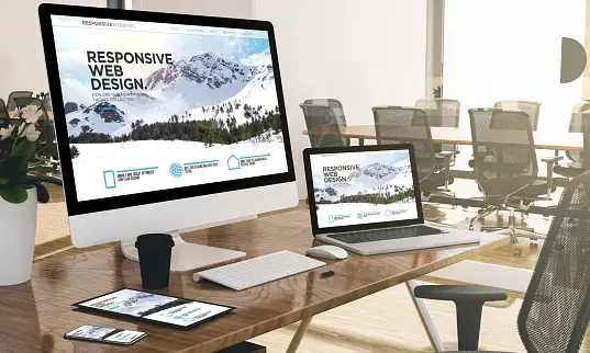 Responsive web